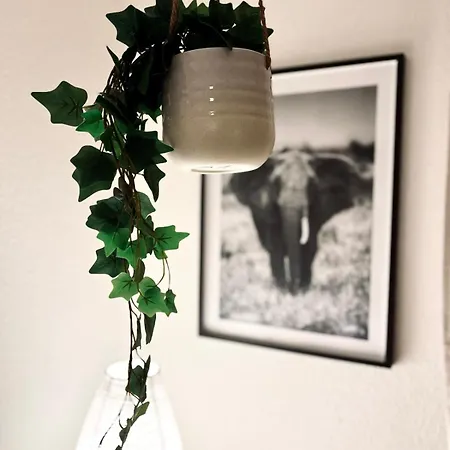 Appartement Staytime - Pine