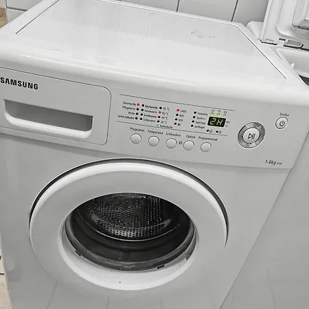 Staytime - Pine 德累斯顿