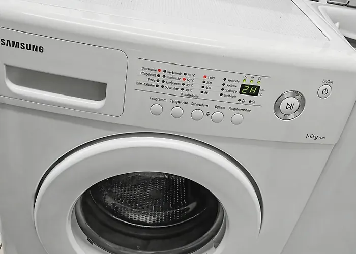 Staytime - Pine Drezno