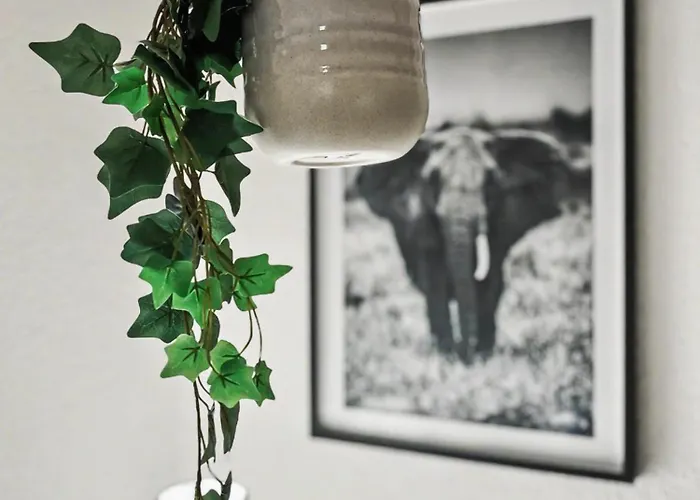 Staytime - Pine 德累斯顿